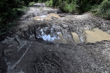 Korkunç bir orman yolu, off-road, su birikintisi, çamur