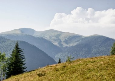 Dağ sırası bulutları, doğa, orman, manzara, gündüz, güzel
