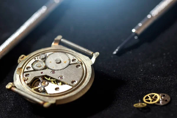 Process Repair Mechanical Watches — 스톡 사진