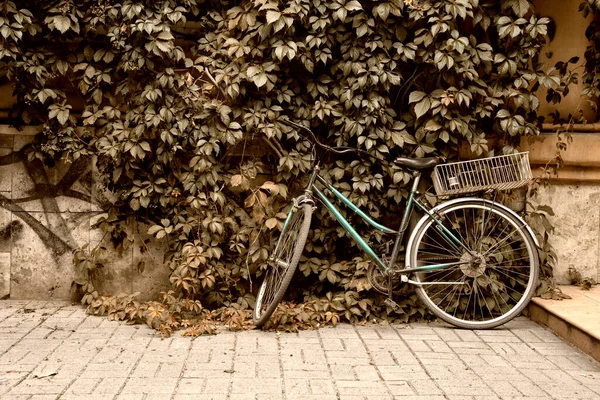 Bicicleta Epocă Stă Lângă Perete — Fotografie, imagine de stoc