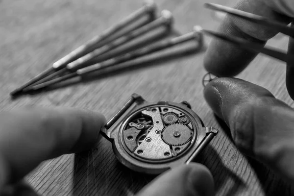 Horloger Est Réparation Une Montre Automatique Vintage — Photo