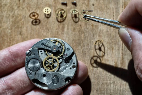 Mechanical watch repair, watchmaker\'s workshop, close up