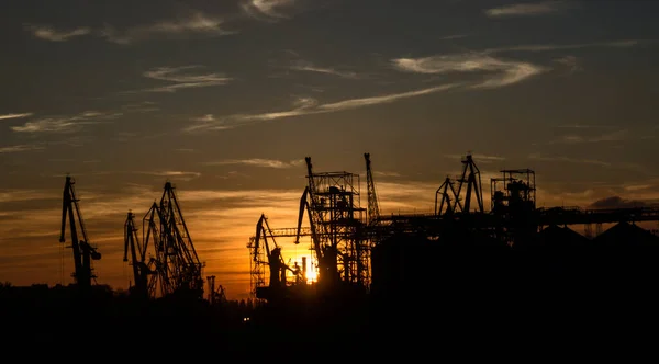 View of the industrial area with many cranes, silhouettes
