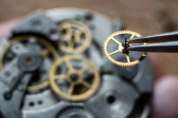 Horlogemaker Werkplaats Mechanische Horloge Reparatie Extreme Close — Stockfoto