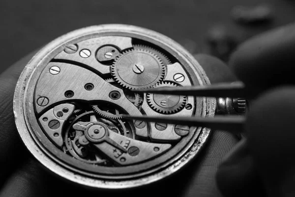 Mechanische Horloge Reparatie Speciaal Gereedschap Close — Stockfoto