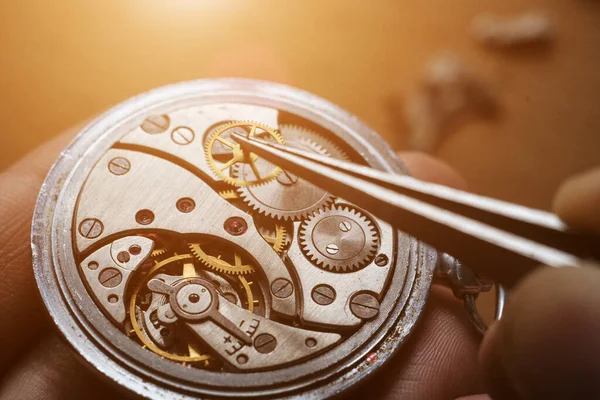 Mecánica Reparación Relojes Herramientas Especiales Cerca —  Fotos de Stock