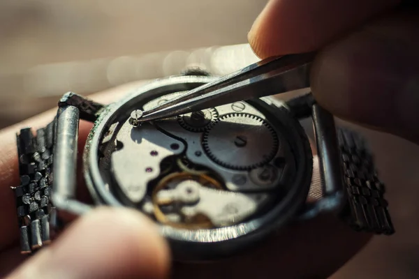 Watchmaker is repairing the wristwatch, mechanical watch