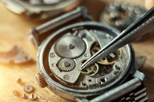 Watchmaker\'s workshop, mechanical watch repair