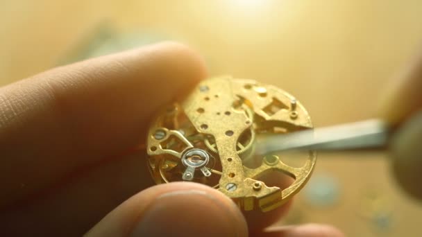 Mechanical Watch Repair Watchmaker Workshop — Stock Video