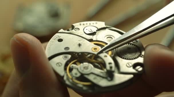 Mekanisk Klocka Reparation Urmakare Verkstad — Stockvideo