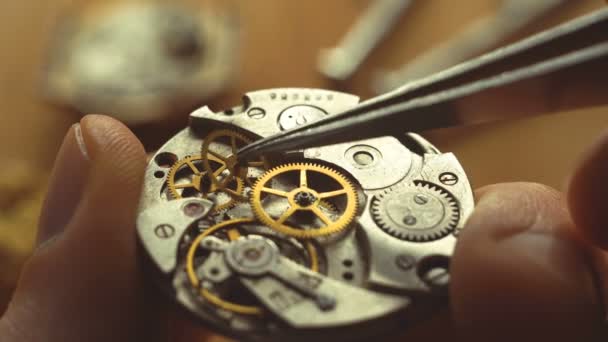 Mechanische Horloge Reparatie Horlogemaker Werkplaats — Stockvideo