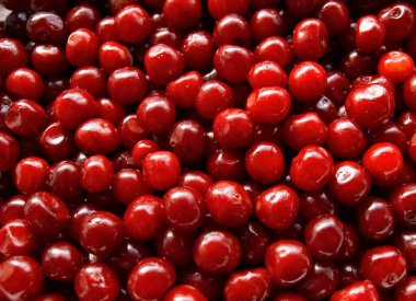 Bir sürü tatlı kiraz, güzel kırmızı kirazlar.