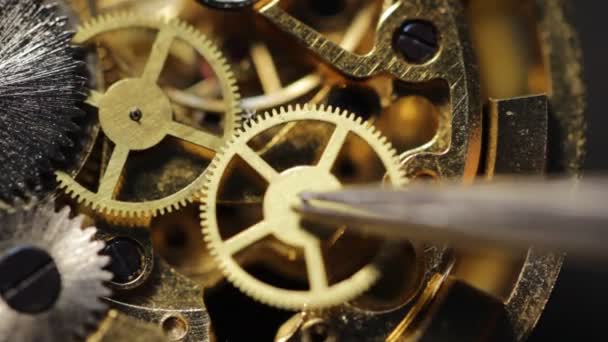Reparação Relógio Mecânico Instalação Uma Roda Engrenagem — Vídeo de Stock