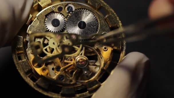 Mechanische Horloge Reparatie Installatie Van Een Tandwiel — Stockvideo