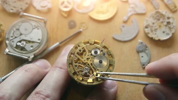 Horlogemaker Werkplaats Mechanische Horloge Reparatie — Stockvideo