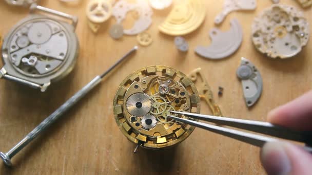 時計職人のワークショップ 機械式時計の修理 — ストック動画