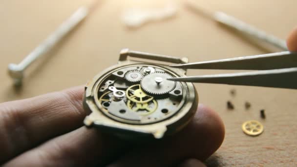 Uhrmacherwerkstatt Mechanische Uhrenreparatur — Stockvideo