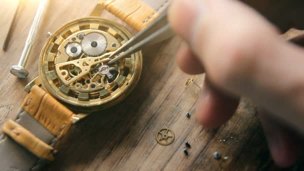 Uhrmacherwerkstatt Mechanische Uhrenreparatur — Stockvideo