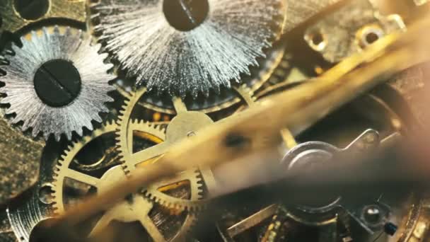 Oficina Relojoeiro Reparação Relógio Mecânico — Vídeo de Stock