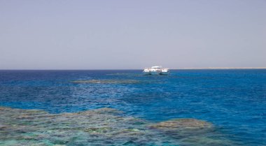 Denizde beyaz yatlar, güneşli bir gün