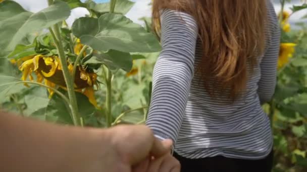 Folge Mir Erschossen Mädchen Einem Feld Von Sonnenblumen — Stockvideo