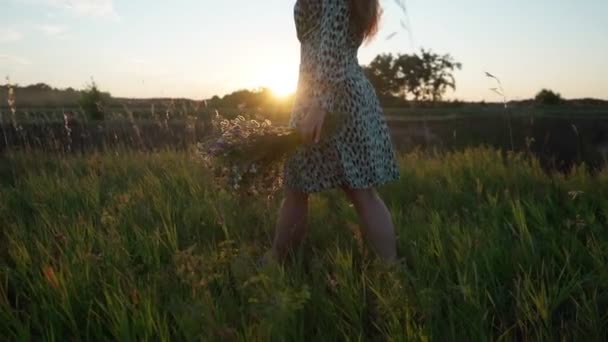 Un mazzo di fiori di campo in mani di ragazze — Video Stock