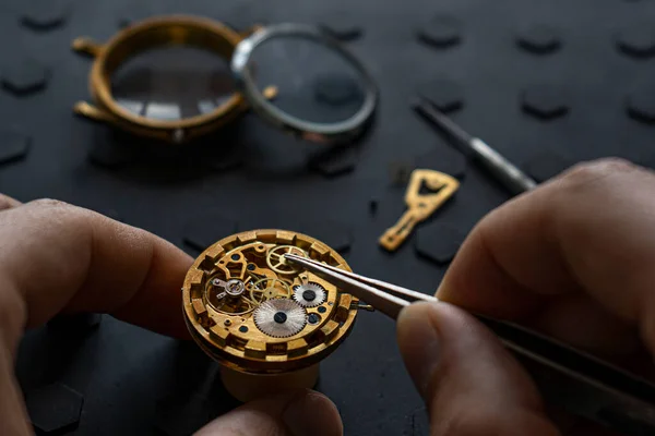 Watchmaker Workshop Mechanical Watch Repair Special Repair Kit Close Stock Image
