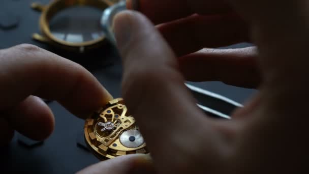 Atelier ceasornicari, reparaţii mecanice de ceasuri. Set de reparații SPecial — Videoclip de stoc