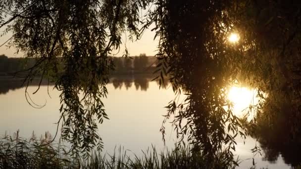 View of a beautiful lake, sunset on the lake — Stock Video