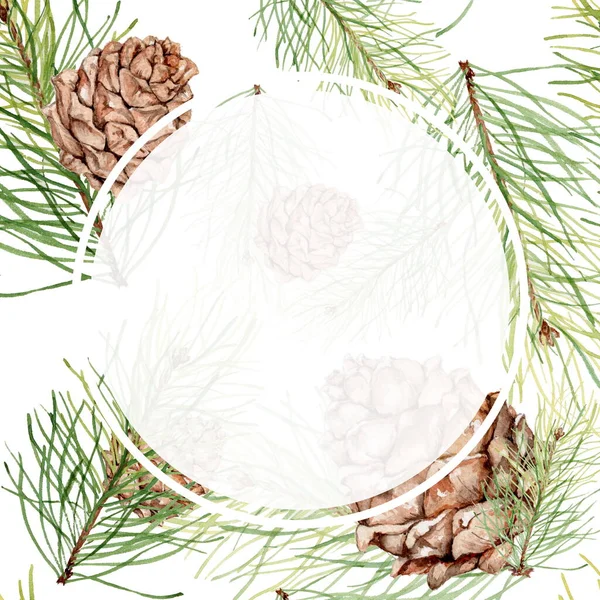Beautiful finished background with cedar cones. Watercolor drawing. Manual illustration Stock Photo