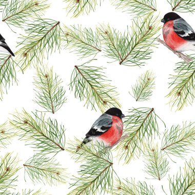 Saka kuşu ve köknar dallı Noel deseni. El yapımı çizim. Kutlama kartları, ambalaj kağıtları, ambalajlar için