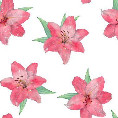 Çiçeksiz zambak deseni. Beyaz bir arkaplanda izole edilmiş