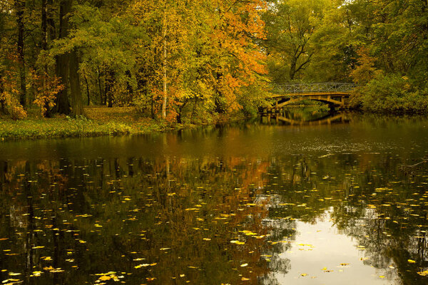 СЕНТ-ПЕТЕРСБУРГ, 15 окт - РИА Новости, Дмитрий Знаменский. Центральный парк Санкт-Петербурга на острове Елагин
 .