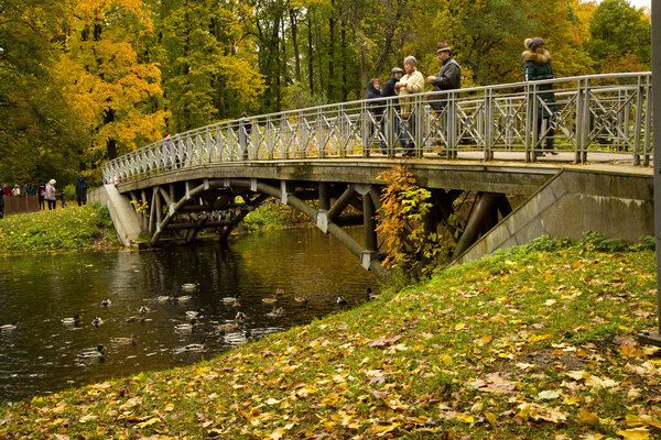 СЕНТ-ПЕТЕРСБУРГ, 15 окт - РИА Новости, Дмитрий Знаменский. Центральный парк Санкт-Петербурга на острове Елагин
 .