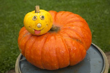 16 Eylül 2017, Ludwigsburg, Almanya. Balkabağına Ludwigsburg kasaba parkta yapılan resimler.