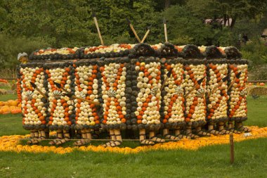 16 Eylül 2017, Ludwigsburg, Almanya. Balkabağına Ludwigsburg kasaba parkta yapılan resimler.