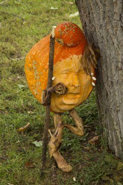 16 Eylül 2017, Ludwigsburg, Almanya. Balkabağına Ludwigsburg kasaba parkta yapılan resimler.