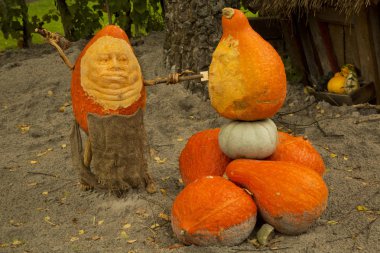 16 Eylül 2017, Ludwigsburg, Almanya. Balkabağına Ludwigsburg kasaba parkta yapılan resimler.