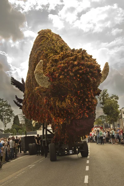 Zundert Nederland September 2017 Bloemencorso Zundert — Stockfoto