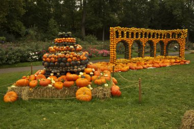 16 Eylül 2017, Ludwigsburg, Almanya. Balkabağına Ludwigsburg kasaba parkta yapılan resimler.