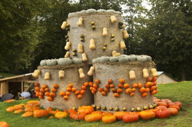 16 Eylül 2017, Ludwigsburg, Almanya. Kabaklar Ludwigsburg kasaba parkta saman balya süslenmiş.