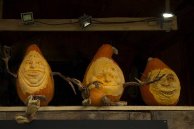 16 Eylül 2017, Ludwigsburg, Almanya. Balkabağına Ludwigsburg kasaba parkta yapılan resimler.