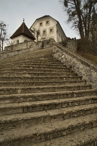 Eslovenia Diciembre 2018 Escaleras Iglesia Asunción Lago Bled Eslovenia —  Fotos de Stock