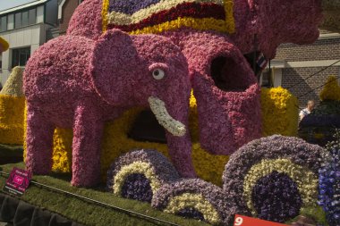 Sassenheim, Hollanda, 21 Nisan 2018. Çiçek Geçidi, Bloemencorso. 