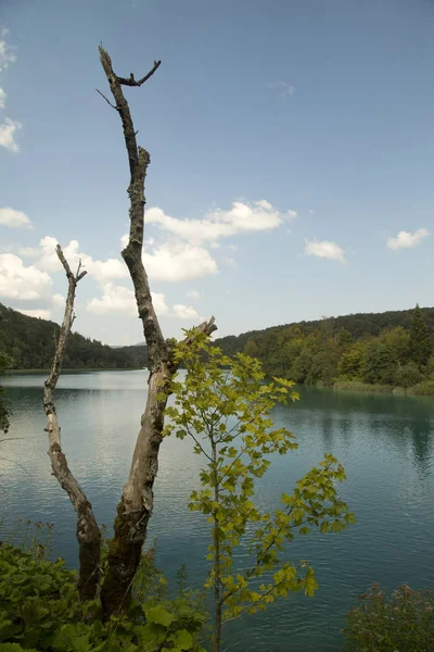 plitvice gölleri ulusal park, Hırvat.