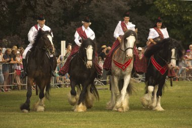 Ludwigsburg, Almanya , 10 Haziran 2018. At pazarı (Pferdemarkt). Ludwigsburg kostüm gösterisi, 