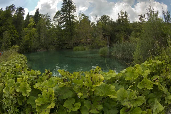 Plitvická Jezera Národní Park Chorvatsko — Stock fotografie