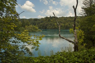 plitvice gölleri ulusal park, Hırvat.