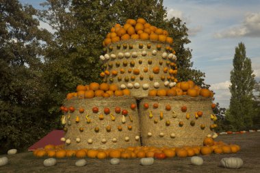Ludwigsburg, Almanya , 22 Eylül 2018. Ludwigsburg, Almanya kasabasında ki parkta bir balkabağı yapılan rakamlar.