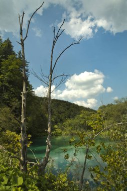 plitvice gölleri ulusal park, Hırvat.